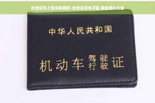 毕业证书上有没有钢印-毕业证书电子版 模板图片大全