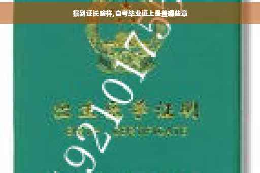 报到证长啥样,自考毕业证上是盖哪些章