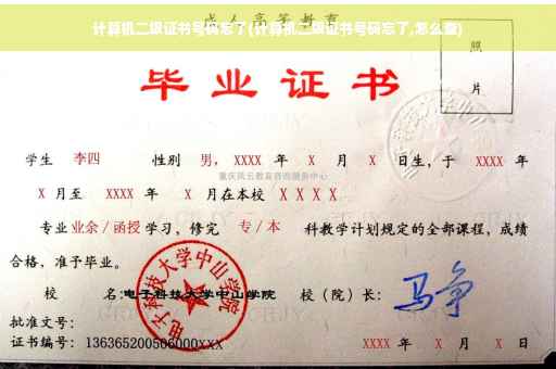 计算机二级证书号码忘了(计算机二级证书号码忘了,怎么查)