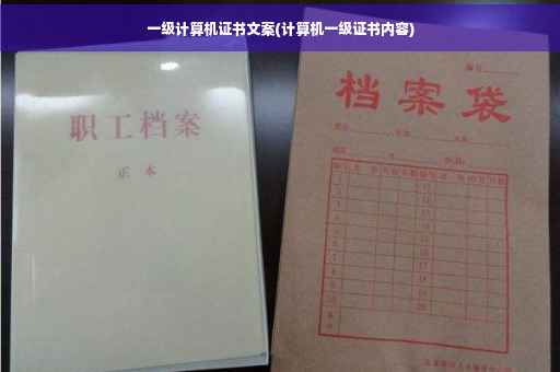 一级计算机证书文案(计算机一级证书内容)