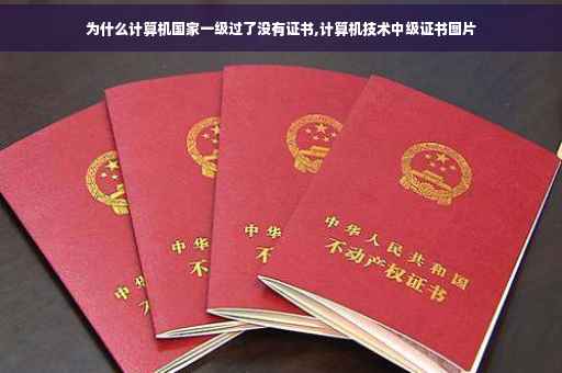 为什么计算机国家一级过了没有证书,计算机技术中级证书图片