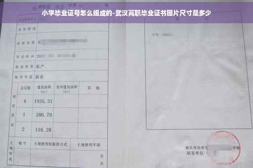 小学毕业证号怎么组成的-武汉高职毕业证书图片尺寸是多少