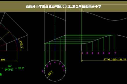 西班牙小学生毕业证书图片大全,怎么申请西班牙小学