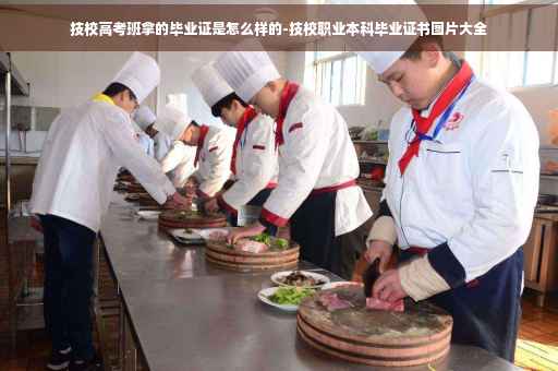 技校高考班拿的毕业证是怎么样的-技校职业本科毕业证书图片大全