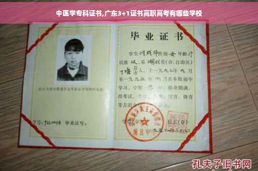 中医学专科证书,广东3+1证书高职高考有哪些学校