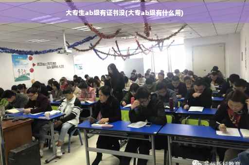 大专生ab级有证书没(大专ab级有什么用)