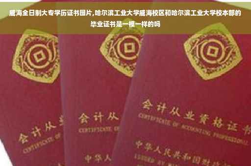 威海全日制大专学历证书图片,哈尔滨工业大学威海校区和哈尔滨工业大学校本部的毕业证书是一模一样的吗