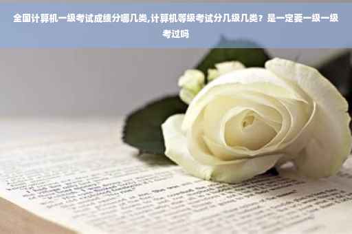 全国计算机一级考试成绩分哪几类,计算机等级考试分几级几类？是一定要一级一级考过吗