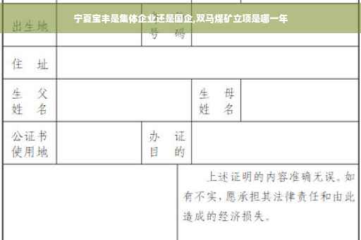 宁夏宝丰是集体企业还是国企,双马煤矿立项是哪一年