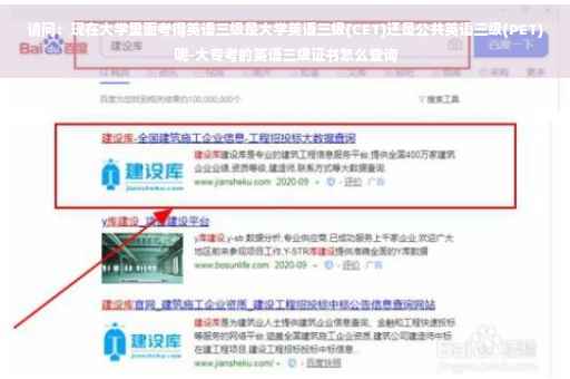 请问：现在大学里面考得英语三级是大学英语三级(CET)还是公共英语三级(PET)呢-大专考的英语三级证书怎么查询