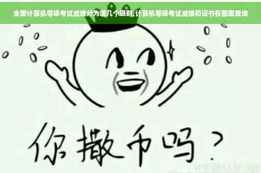 全国计算机等级考试成绩分为哪几个级别,计算机等级考试成绩和证书在那里查询