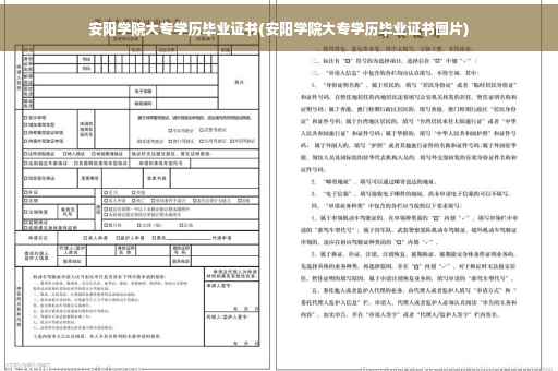 安阳学院大专学历毕业证书(安阳学院大专学历毕业证书图片)