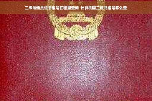 二级运动员证书编号在哪里查询-计算机国二证书编号怎么查