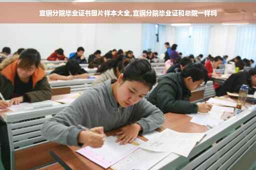 宣钢分院毕业证书图片样本大全,宣钢分院毕业证和总院一样吗