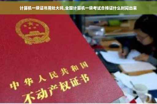 计算机一级证书用处大吗,全国计算机一级考试合格证什么时间出来