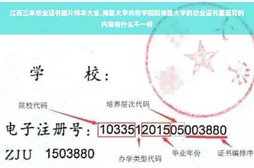 江西三本毕业证书图片样本大全,南昌大学共青学院和南昌大学的毕业证书里面写的内容有什么不一样