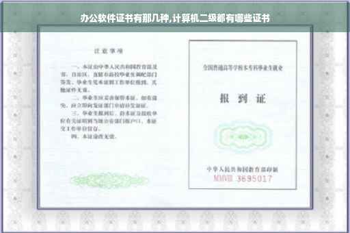 办公软件证书有那几种,计算机二级都有哪些证书