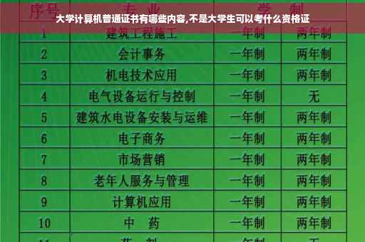 大学计算机普通证书有哪些内容,不是大学生可以考什么资格证