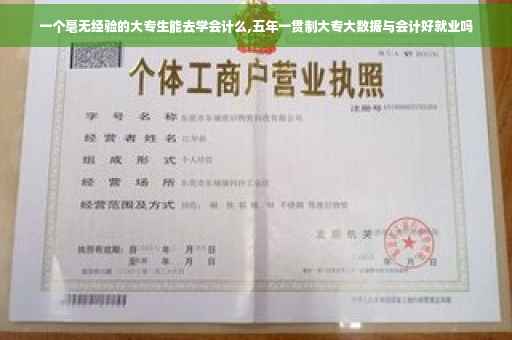 一个毫无经验的大专生能去学会计么,五年一贯制大专大数据与会计好就业吗