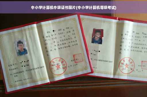 中小学计算机中级证书图片(中小学计算机等级考试)