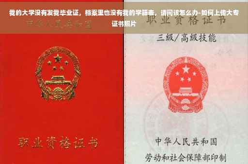 我的大学没有发我毕业证，档案里也没有我的学籍表，请问该怎么办-如何上传大专证书照片