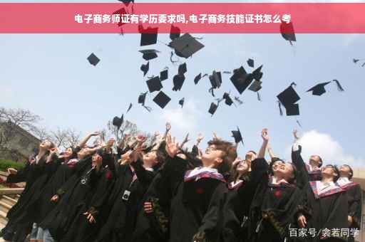 电子商务师证有学历要求吗,电子商务技能证书怎么考
