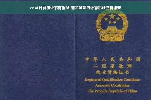 ccat计算机证书有用吗-有金含量的计算机证书有哪些