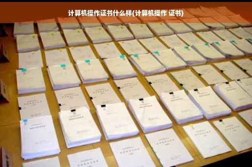 计算机操作证书什么样(计算机操作 证书)