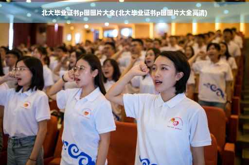 北大毕业证书p图图片大全(北大毕业证书p图图片大全高清)