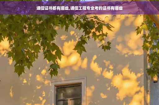 通信证书都有哪些,通信工程专业考的证书有哪些