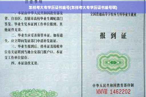 怎样考大专学历证书编号(怎样考大专学历证书编号呢)