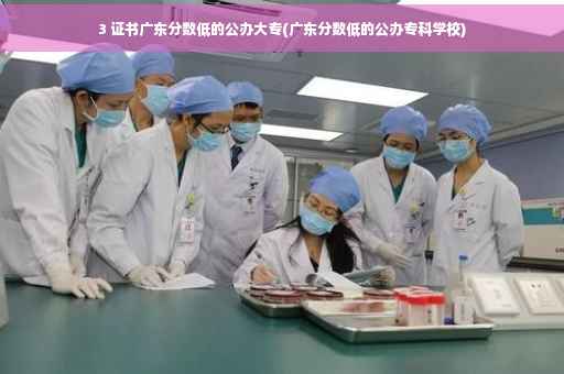 3 证书广东分数低的公办大专(广东分数低的公办专科学校)
