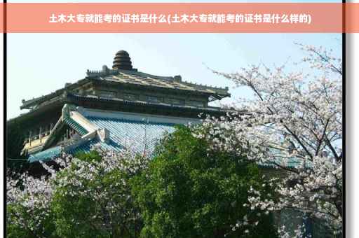 土木大专就能考的证书是什么(土木大专就能考的证书是什么样的)