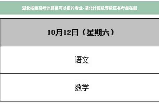 湖北技能高考计算机可以报的专业-湖北计算机等级证书考点在哪