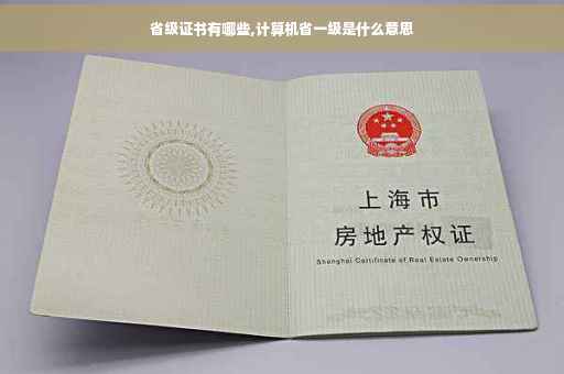 省级证书有哪些,计算机省一级是什么意思