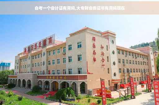 自考一个会计证有用吗,大专财会类证书有用吗现在