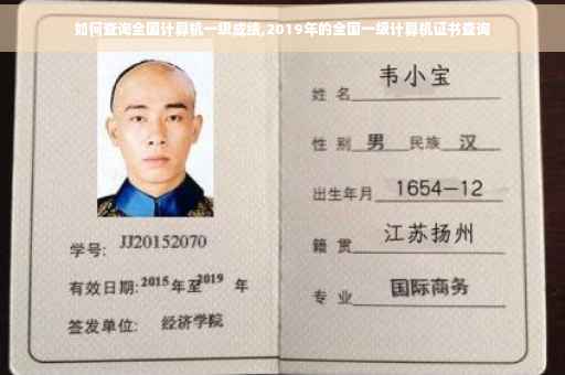 如何查询全国计算机一级成绩,2019年的全国一级计算机证书查询