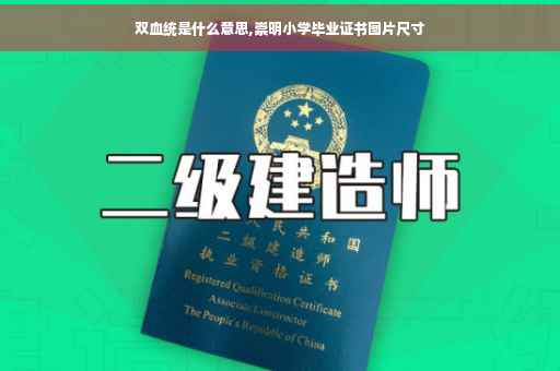 双血统是什么意思,崇明小学毕业证书图片尺寸