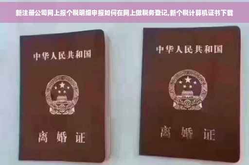 新注册公司网上报个税明细申报如何在网上做税务登记,新个税计算机证书下载