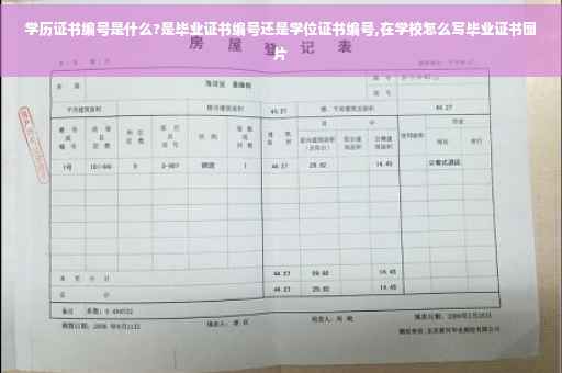 学历证书编号是什么?是毕业证书编号还是学位证书编号,在学校怎么写毕业证书图片