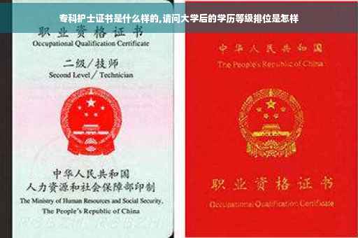 专科护士证书是什么样的,请问大学后的学历等级排位是怎样