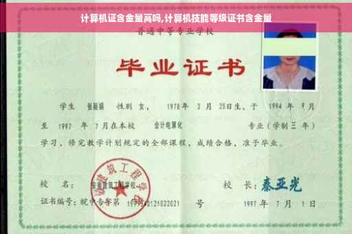 计算机证含金量高吗,计算机技能等级证书含金量