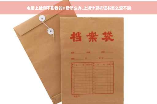 电脑上检测不到我的U盾怎么办,上海计算机证书怎么查不到