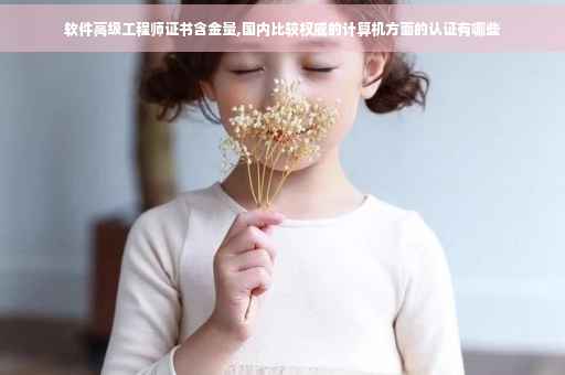 软件高级工程师证书含金量,国内比较权威的计算机方面的认证有哪些