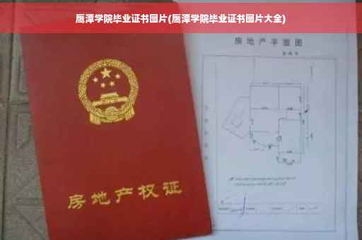 鹰潭学院毕业证书图片(鹰潭学院毕业证书图片大全)