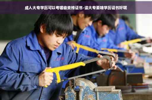 成人大专学历可以考哪些资格证书-读大专要啥学历证书好呢 成人大专学历可以考哪些资格证书-读大专要啥学历证书好呢