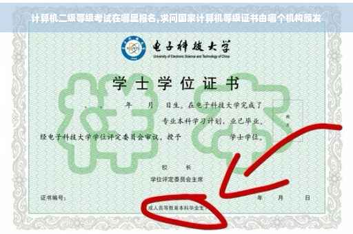 计算机二级等级考试在哪里报名,求问国家计算机等级证书由哪个机构颁发