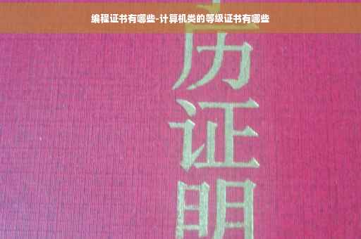编程证书有哪些-计算机类的等级证书有哪些