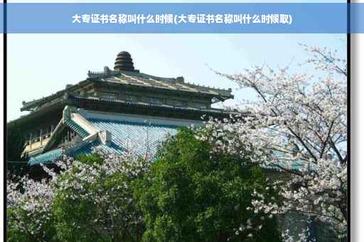 大专证书名称叫什么时候(大专证书名称叫什么时候取)