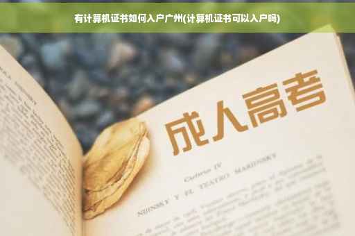 有计算机证书如何入户广州(计算机证书可以入户吗)